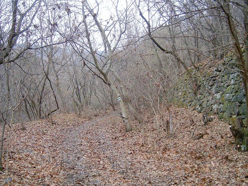 20111210 105.jpg